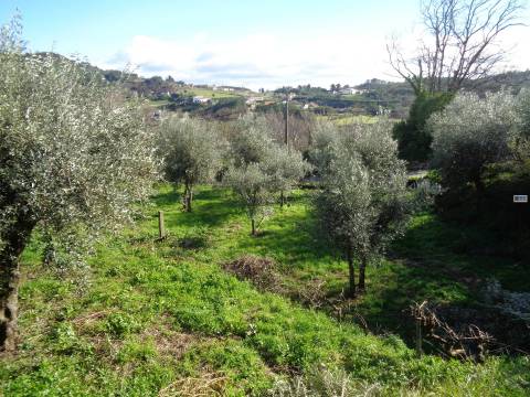 Terreno - Teixoso - 7 min da Covilhã