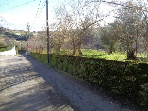Terreno - Teixoso - 7 min da Covilhã