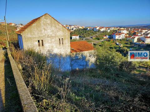 Terreno Rústico  Venda em Peso e Vales do Rio,Covilhã