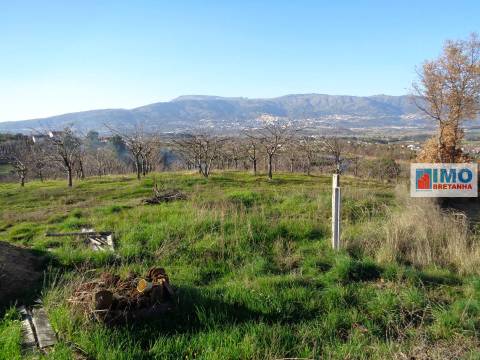 Quinta  Venda em Ferro,Covilhã