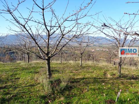 Quinta  Venda em Ferro,Covilhã