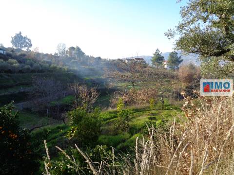 Quinta  Venda em Ferro,Covilhã