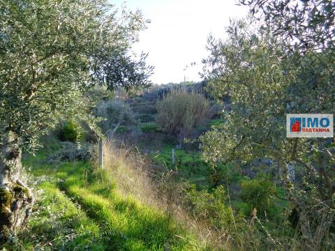 Quinta  Venda em Ferro,Covilhã