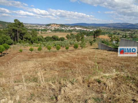 Lote de Terreno p/ Construção - Dominguiso