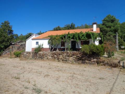 Quinta c/ Moradia - Zona de Belmonte