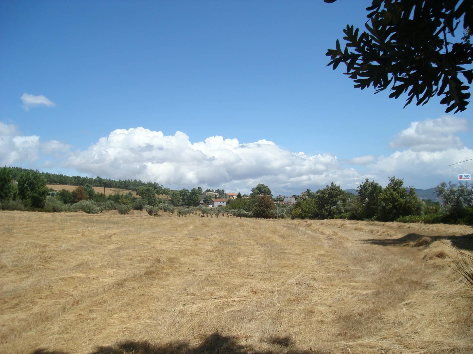 Quinta C/ Moradia - Tortosendo - Covilhã