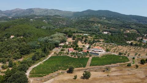 Quinta  c/ 5,36ha  e c/ Moradia V4  - Teixoso - 10 min da Covilhã