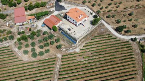 Quinta  c/ 5,36ha  e c/ Moradia V4  - Teixoso - 10 min da Covilhã