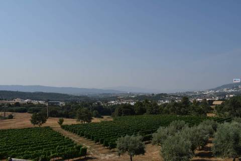 Quinta  c/ 5,36ha  e c/ Moradia V4  - Teixoso - 10 min da Covilhã