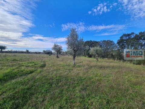 Quinta na Lardosa