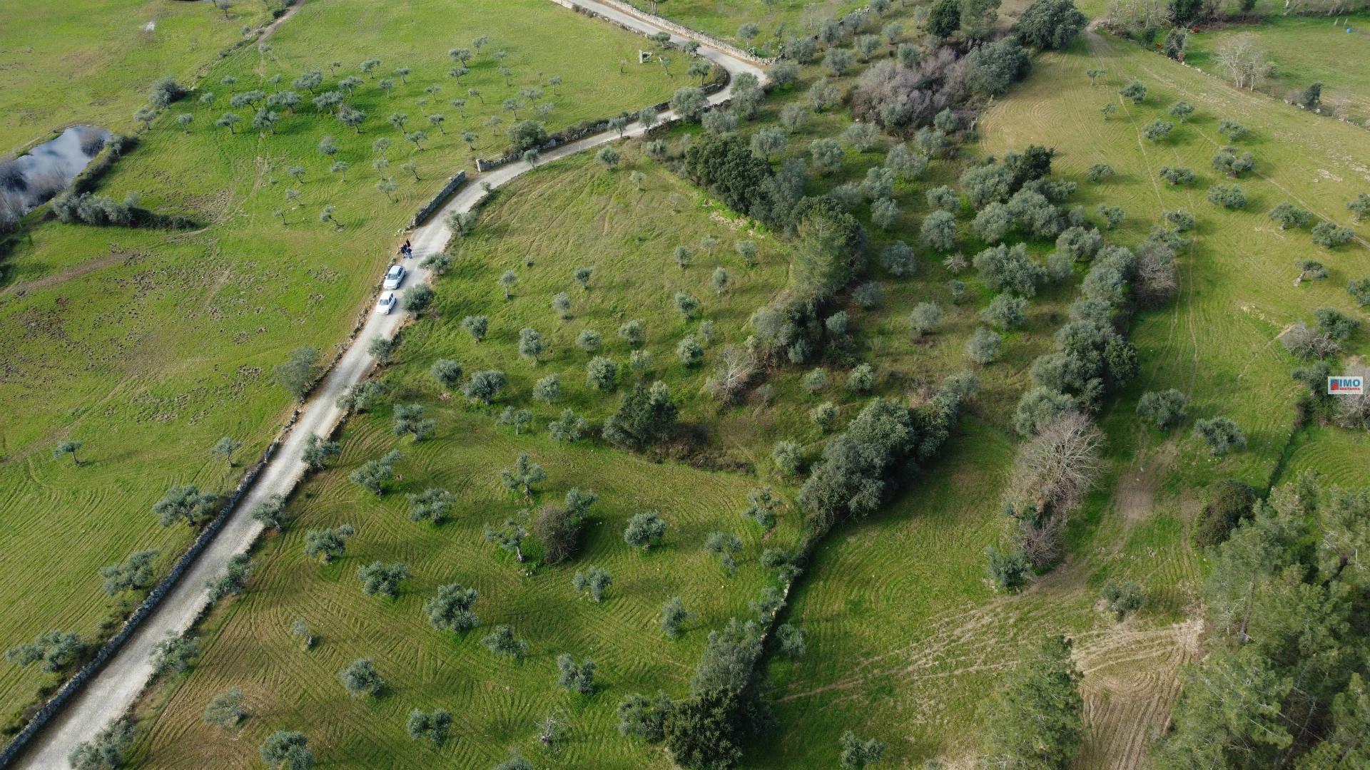 Quinta na Lardosa