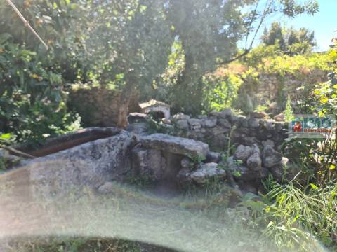 Quinta na Lousa