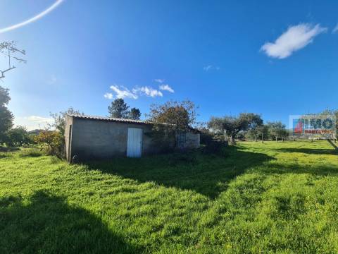 Quinta na Lardosa - Castelo Branco