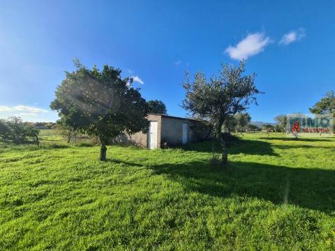 Quinta na Lardosa - Castelo Branco
