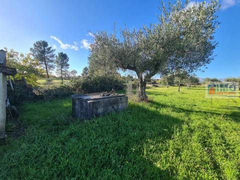 Quinta na Lardosa - Castelo Branco