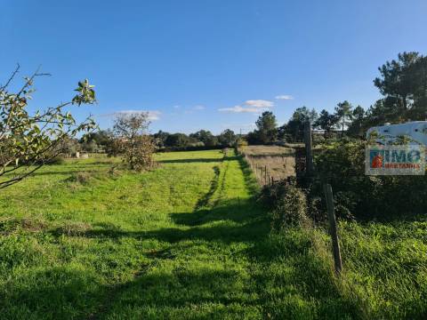 Quinta na Lardosa - Castelo Branco