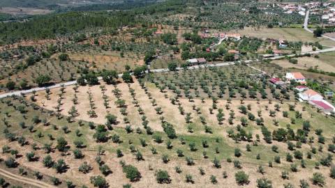 Quinta em Freixial do Campo