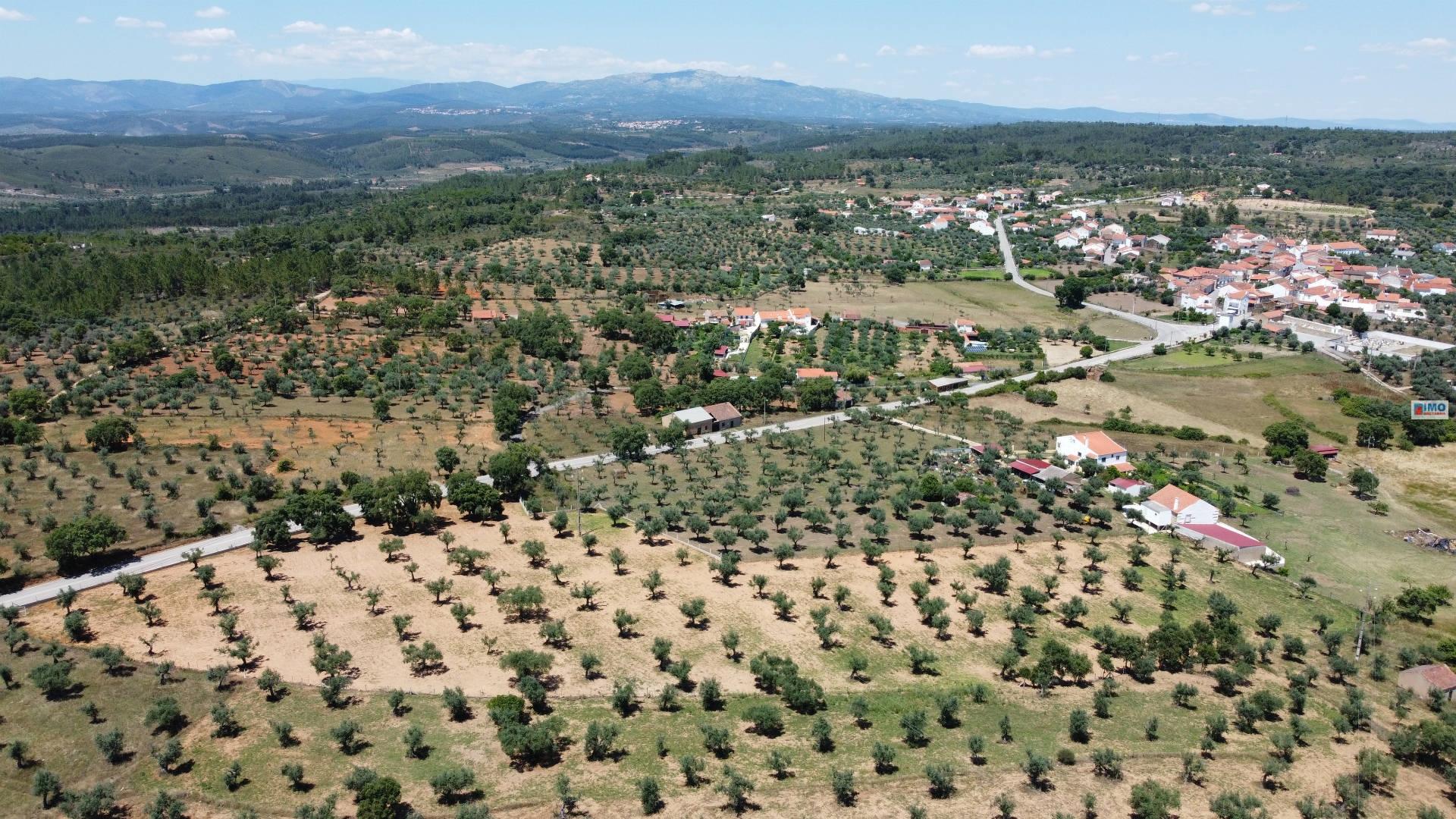 Quinta em Freixial do Campo