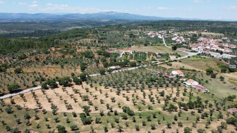 Quinta em Freixial do Campo
