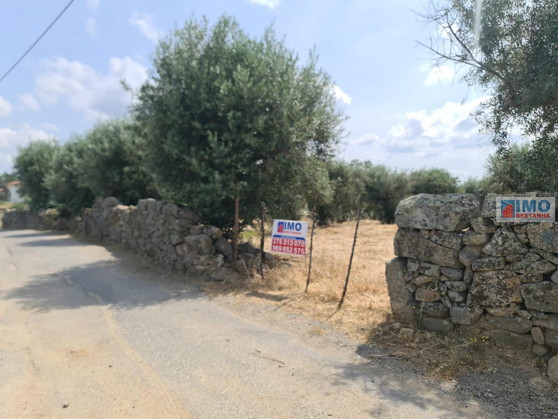 Quinta - Oledo