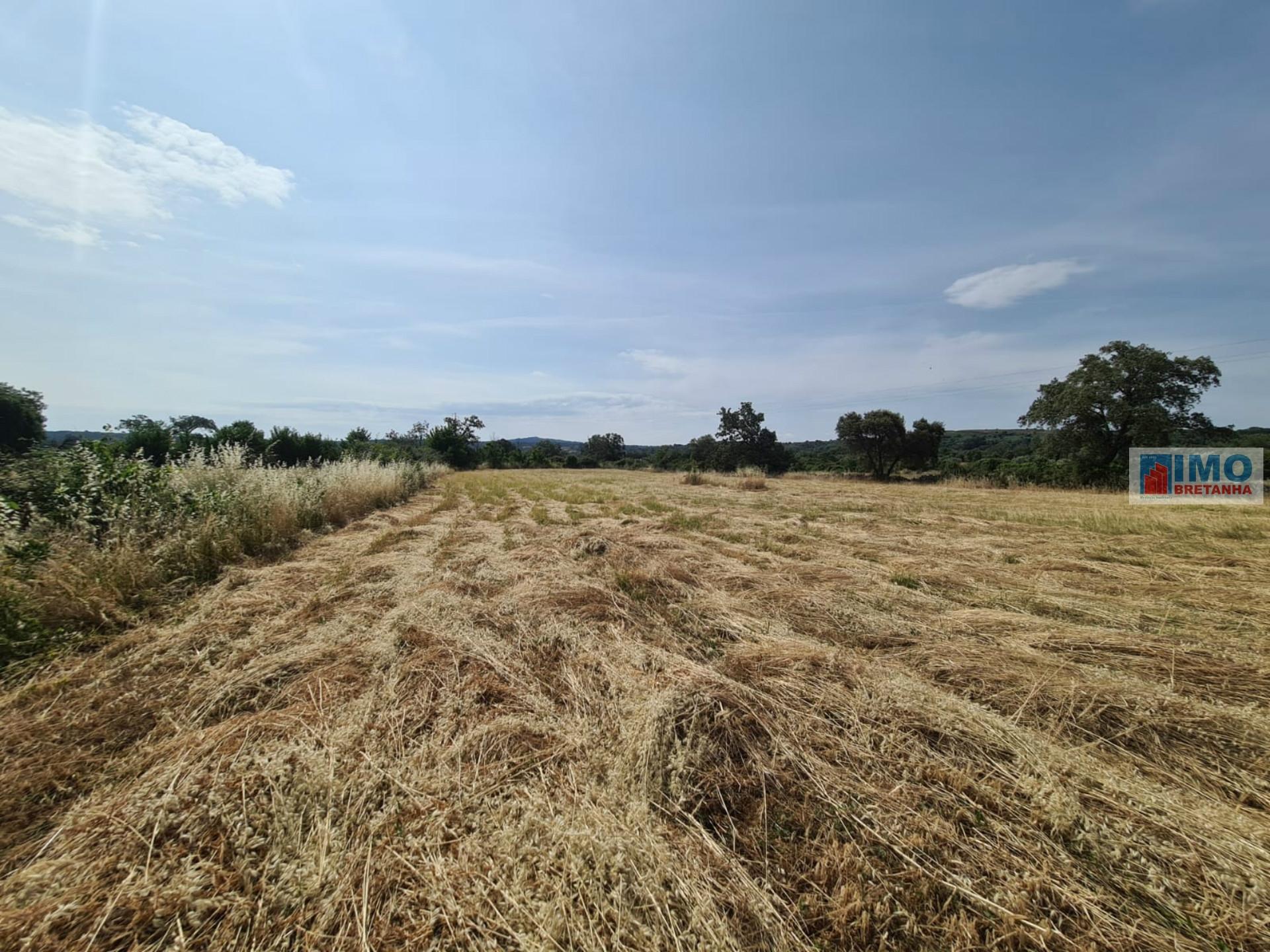 Quinta - Oledo