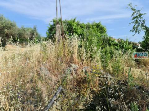 Quinta - Oledo