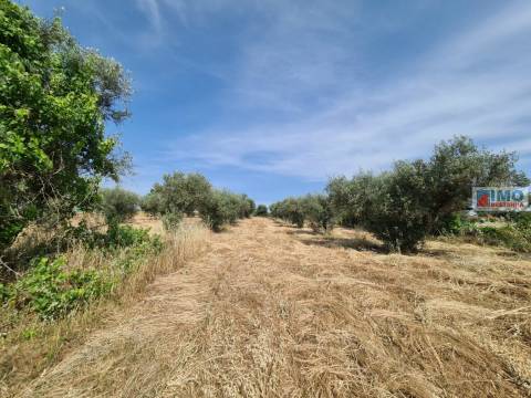 Quinta - Oledo