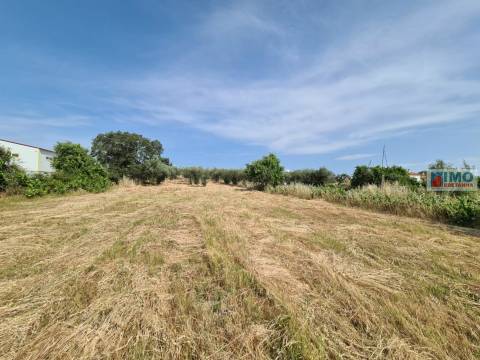 Quinta - Oledo
