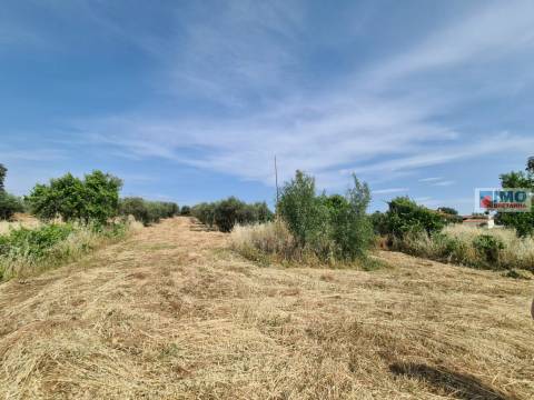 Quinta - Oledo