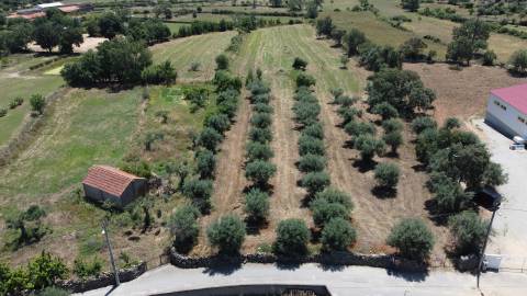 Quinta - Oledo