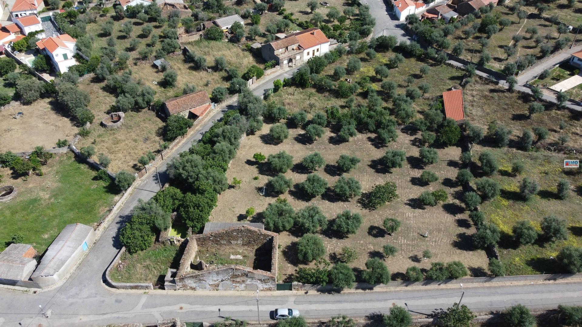 Quinta na Zebreira