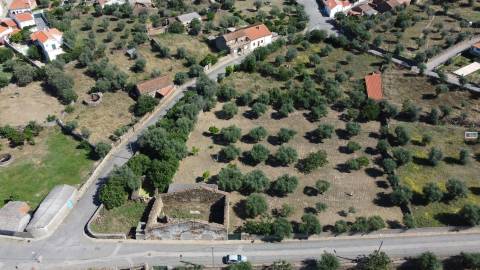 Quinta na Zebreira