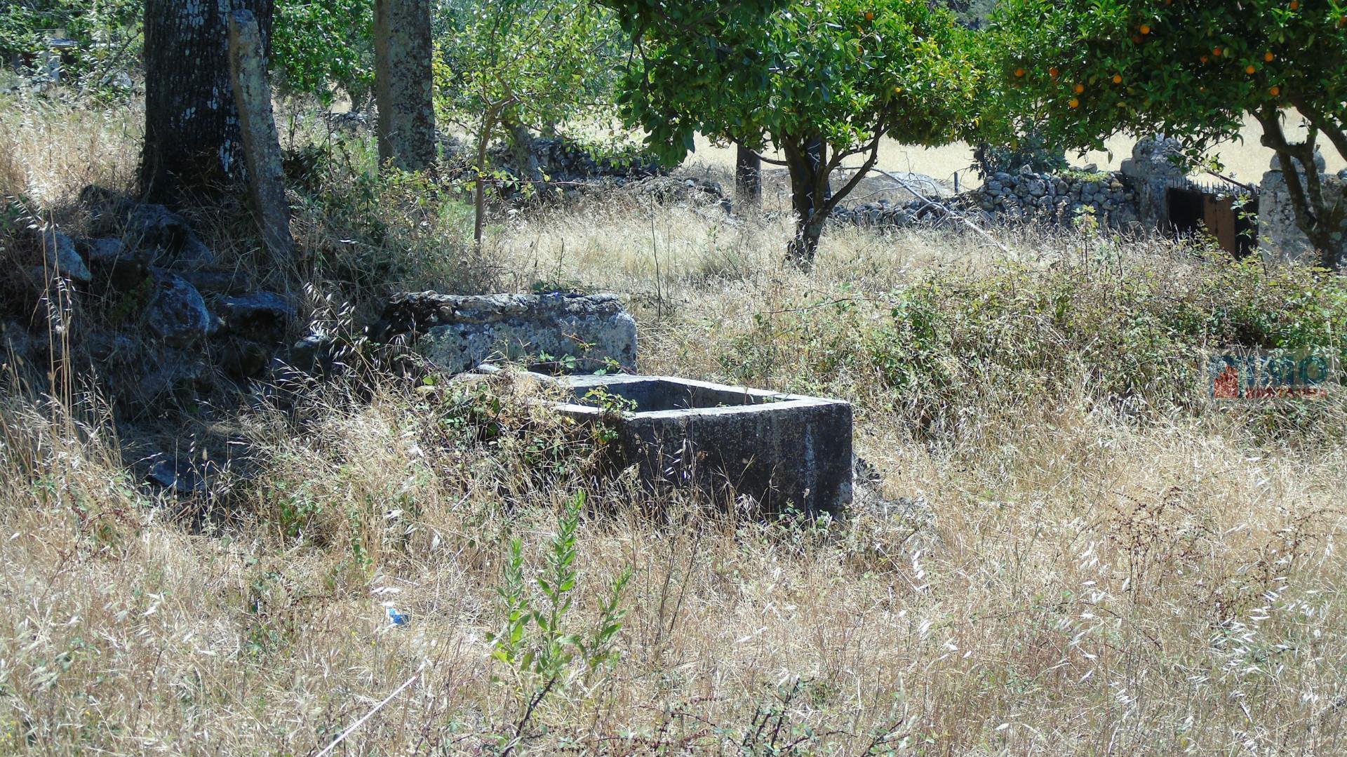 Quintinha zona de Alcains