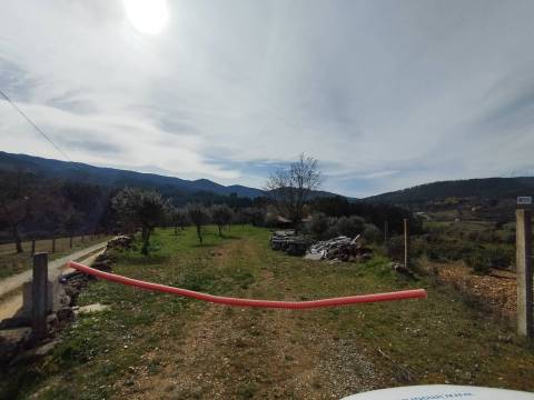 Quintinha - Souto da Casa