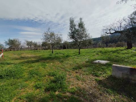 Quintinha - Souto da Casa