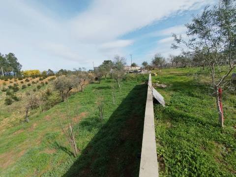 Quintinha - Souto da Casa