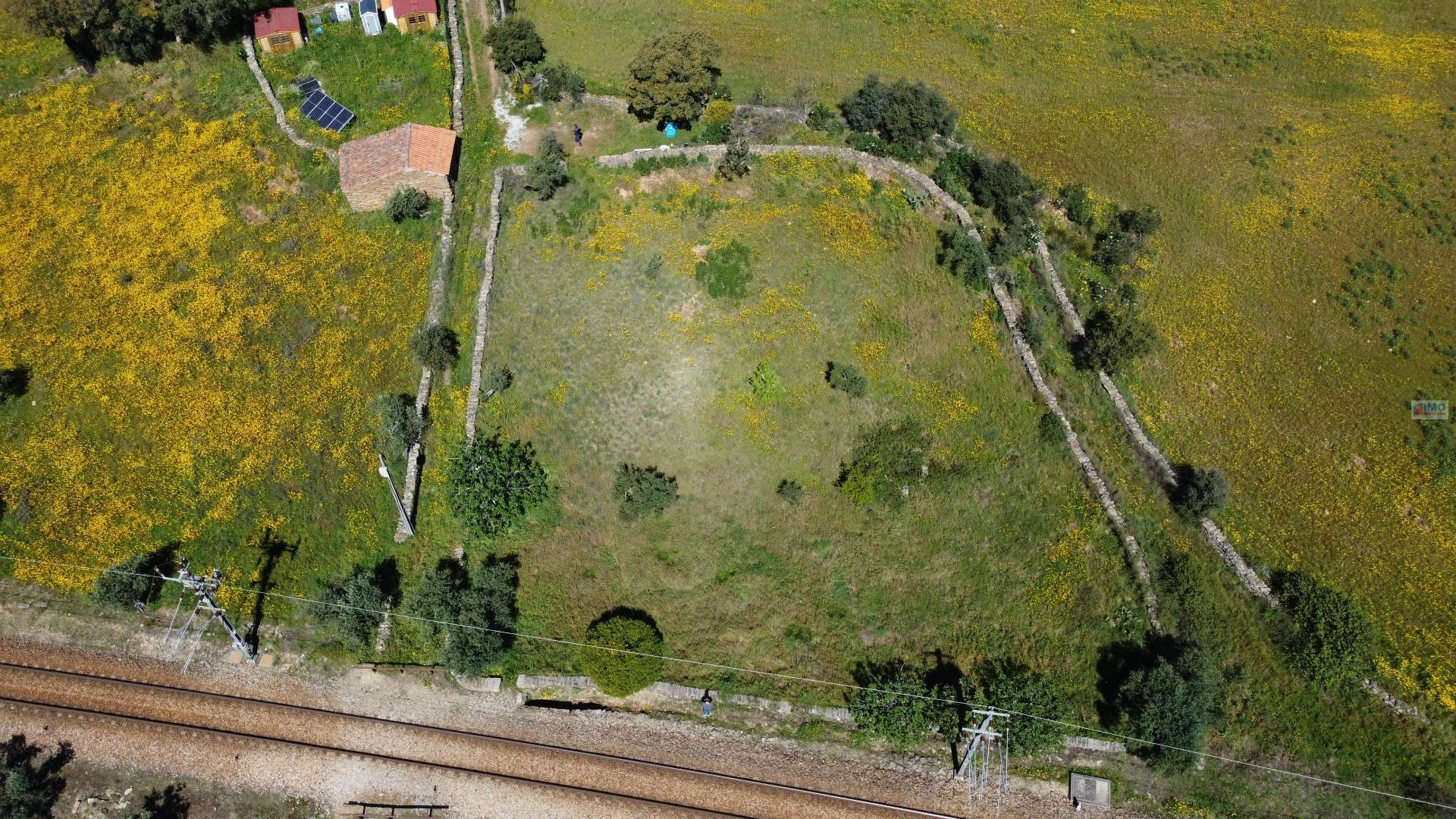 Terreno em Amarelos - 15 min Castelo Branco