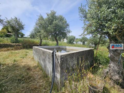 Quinta na Aldeia da Mata