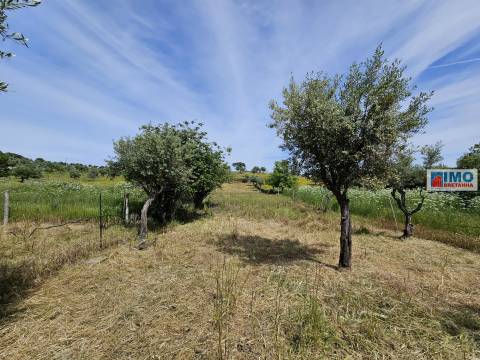 Quinta na Aldeia da Mata