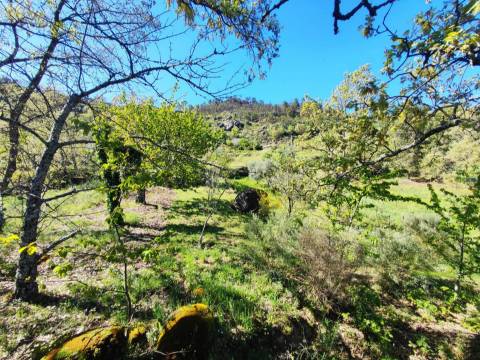 Terreno - Orjais