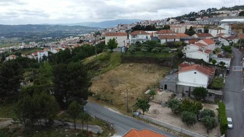 Terreno c/ Viabilidade de Construção - Lameirão