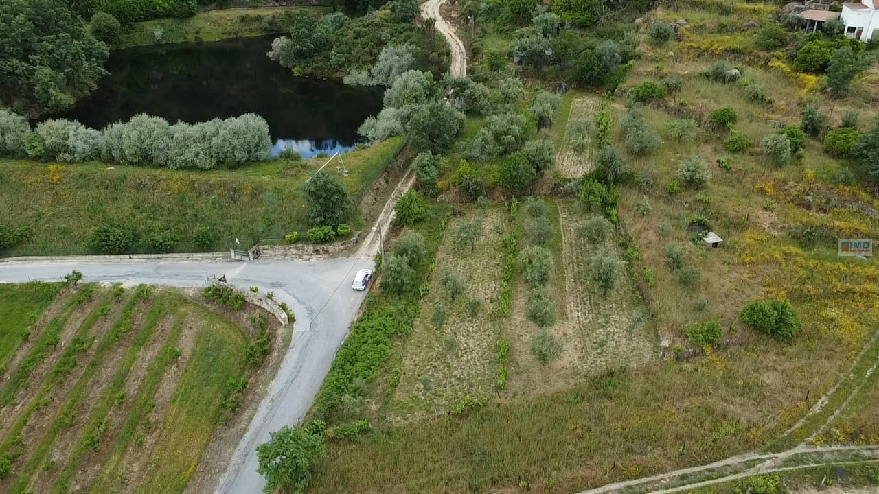 Quintinha - Zona de Orjais