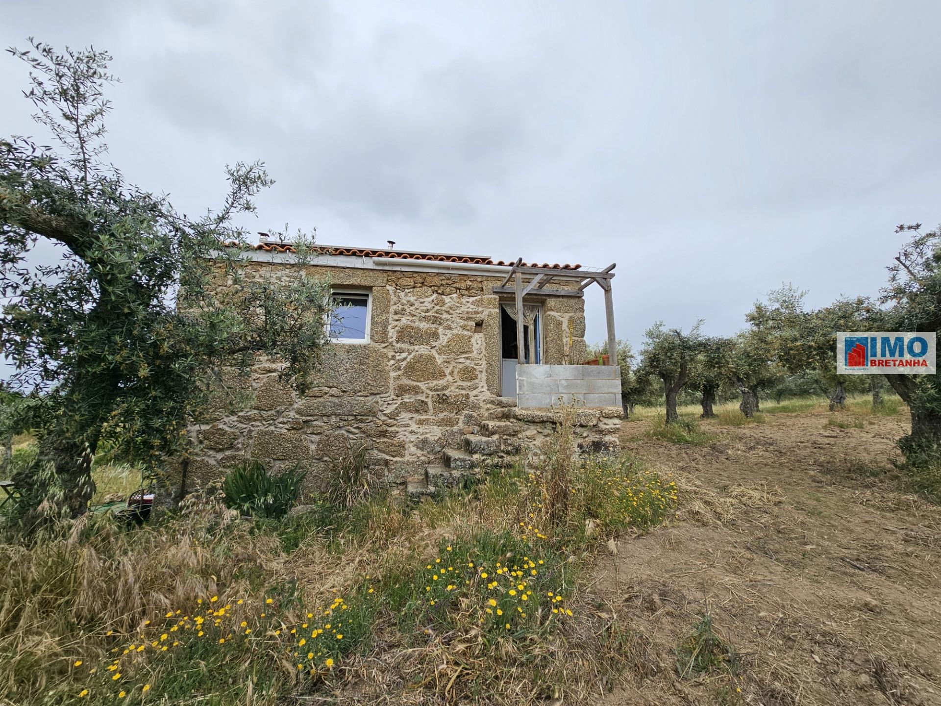 Terreno c/ Anexo - Juncal do Campo