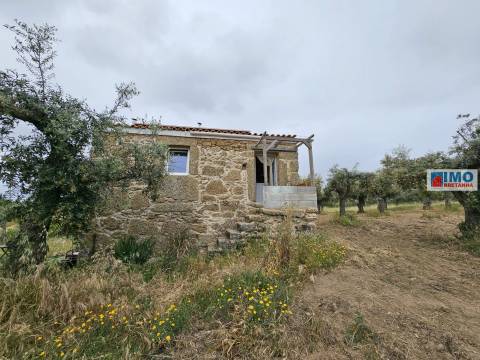 Terreno c/ Anexo - Juncal do Campo
