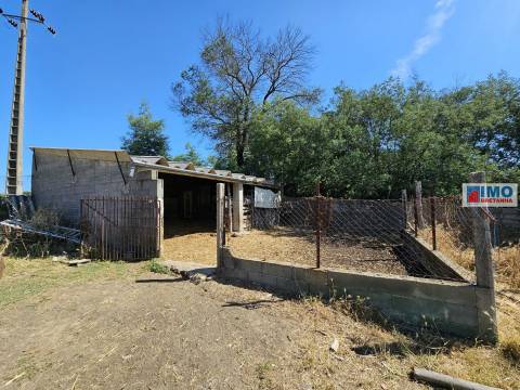 Quinta com casa para recuperar no Retaxo