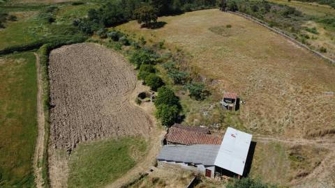 Quinta com casa para recuperar no Retaxo