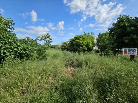 Terreno urbano 1820m - centro da Vila de Alcains