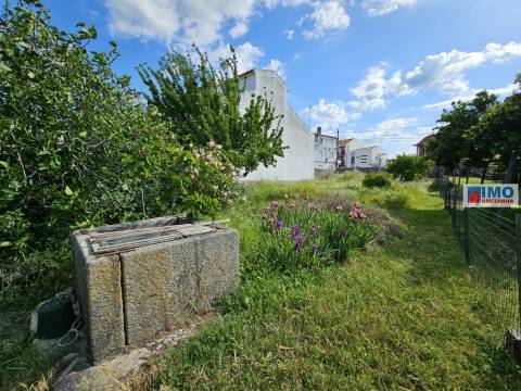 Terreno urbano 1820m - centro da Vila de Alcains