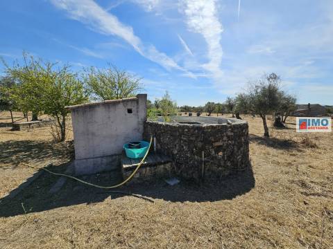Quinta - Vila da Soalheira