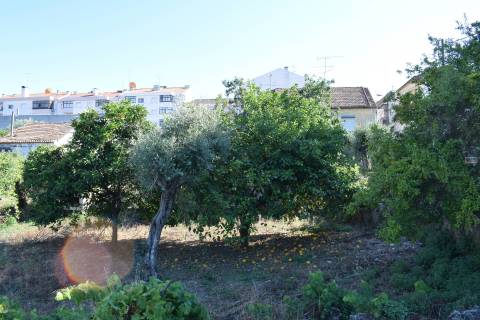 5 Moradias p/ Renovar e Terreno - Centro de Castelo Branco